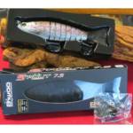 leurre biwaa strout 7.5--19cm--85 grs rainbow