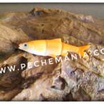 SAVAGEAR LB Roach swim&jerk 7.5cm goldfish