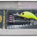 DEPS KORRIGAN MR