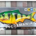 SAVAGEAR 4D LINE THRU ROACH 25CM/216g