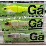 GALAPAGOS GRACE 240 F