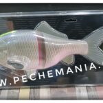 DEPS FUNAJU